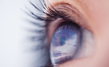 "The retina is not a simple camera" says Professor Williams "The retina is not a simple camera" says Professor Williams